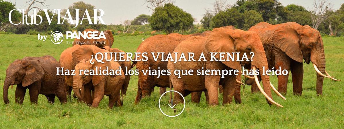 ¿Quieres viajar a Kenia? Te ayudamos a diseñar tu viaje a medida