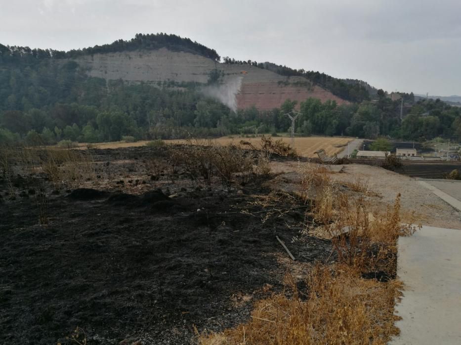 El paisatge a Avinyó, després del foc