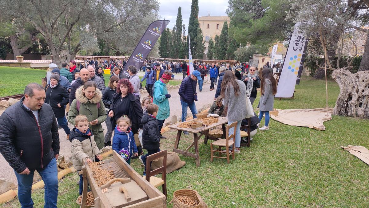 Son Servera exhibe su potencial en una concurrida ‘Fira de la flor d’ametler’