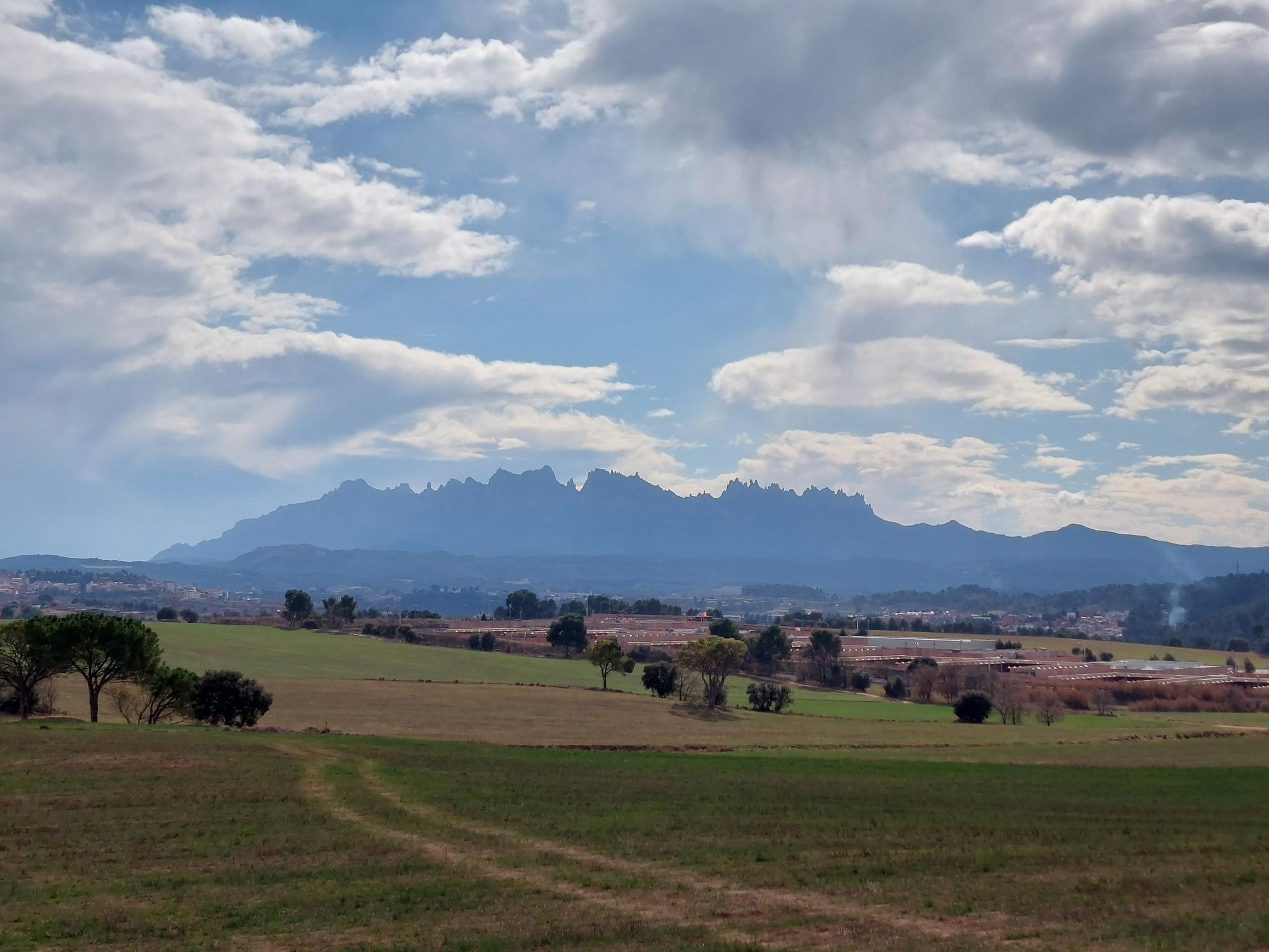 Sembrats al Pla de les Torres (Sant Joan de Vilatorrada), amb sol i núvols