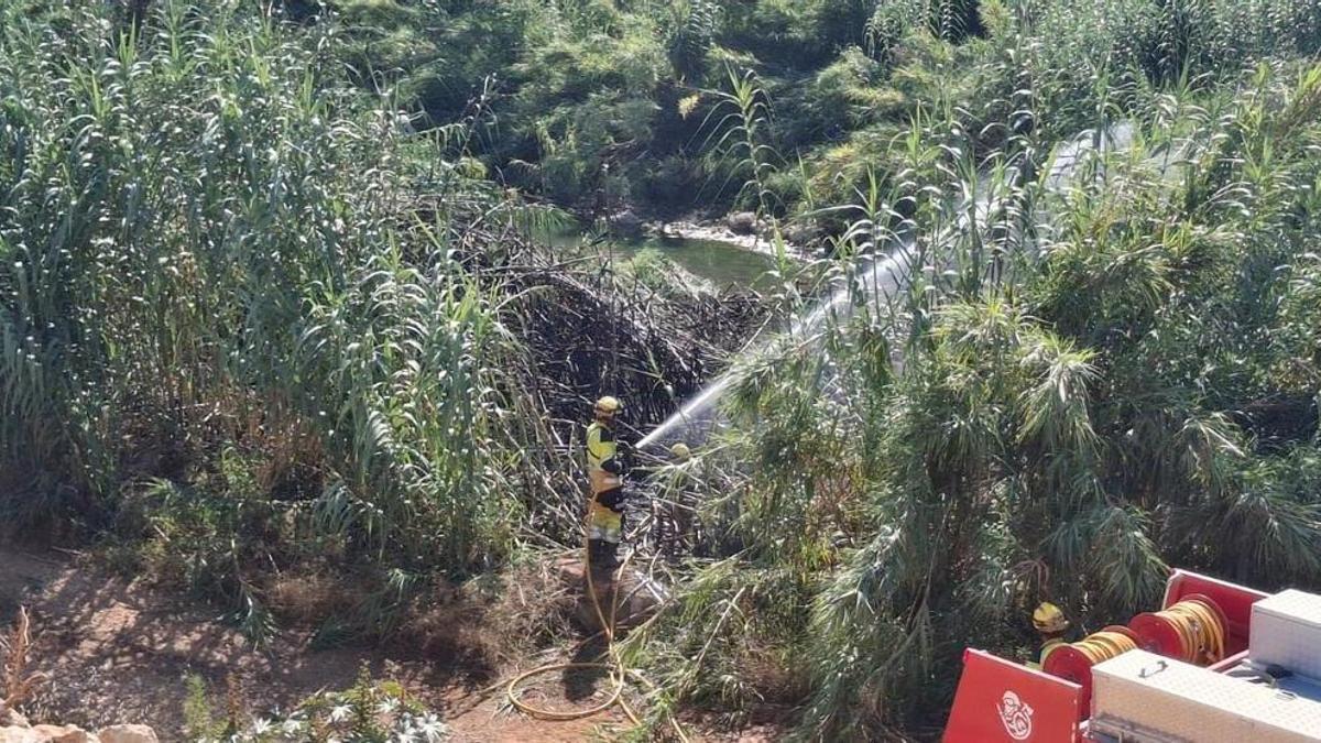 Los bomberos sofocan las llamas en el cañaveral del río Girona