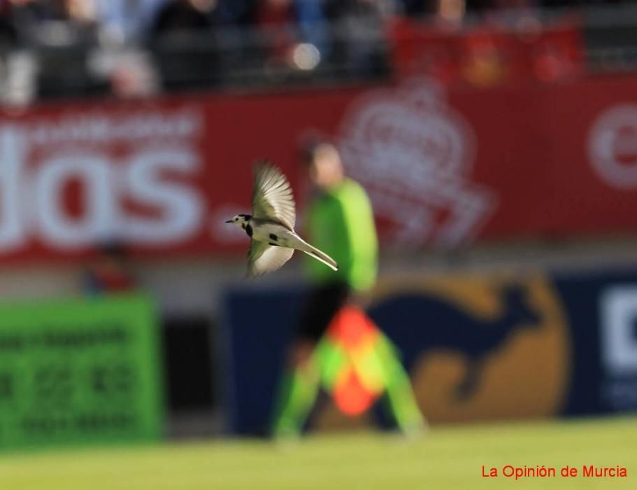 Real Murcia-Sevilla Atlético