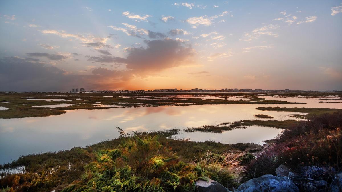 Las marismas de Punta Umbrias son patrimonio de la UNESCO