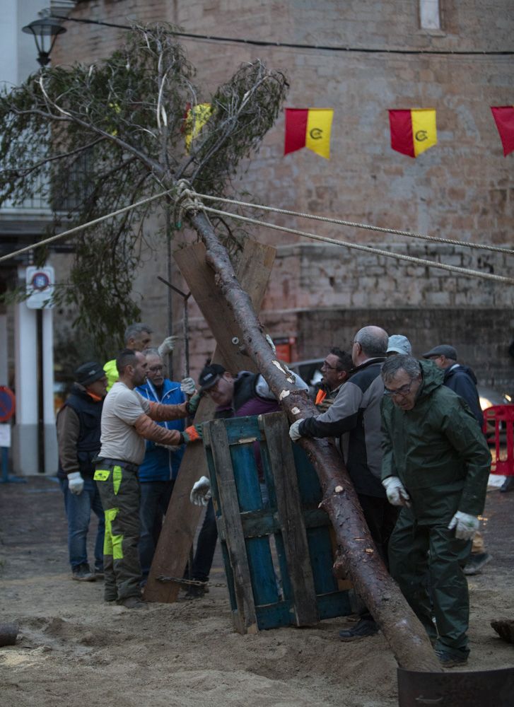 Así a sido la Plantà del Pí que el mal tiempo no ha podido parar en Sagunt