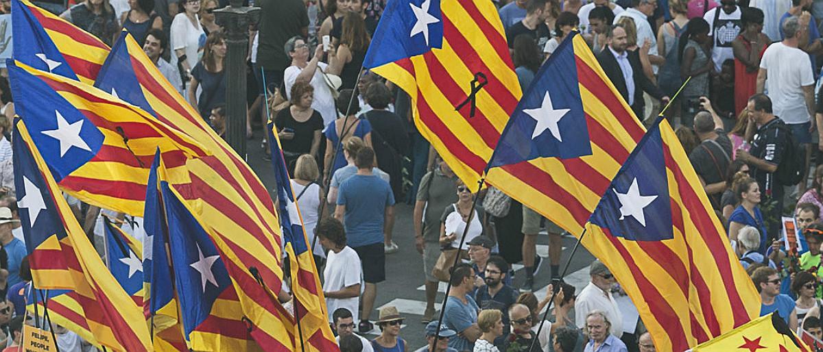 Estelades en una manifestación.  