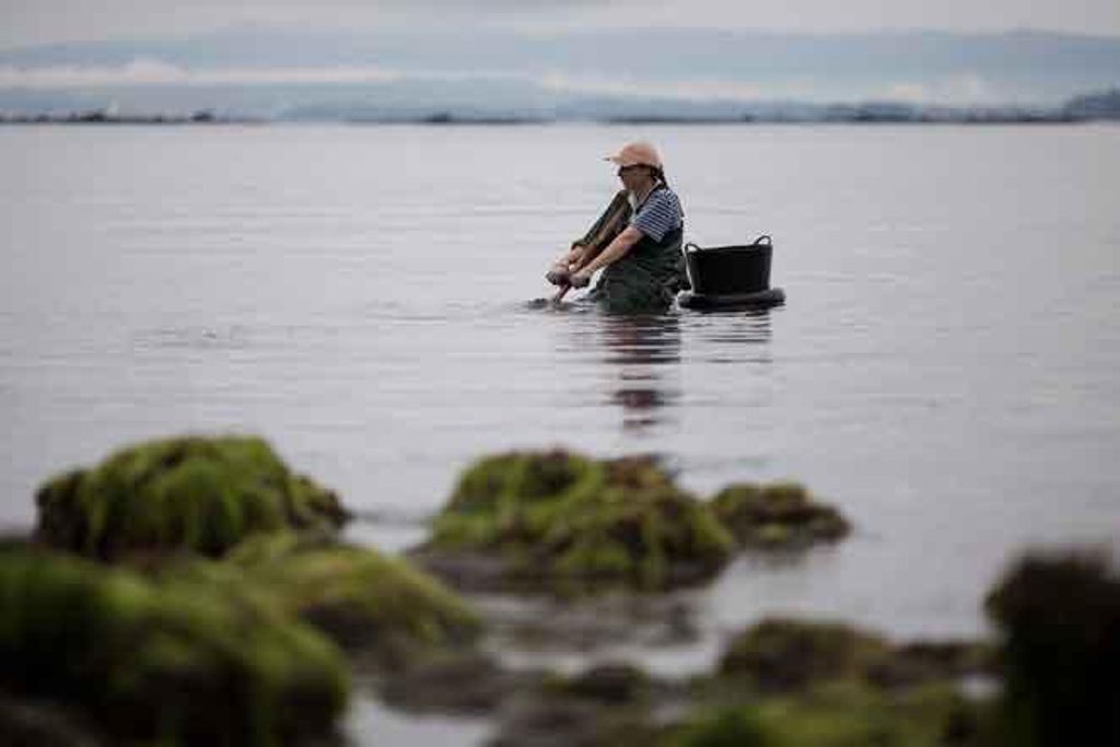 marisqueo rias baixas