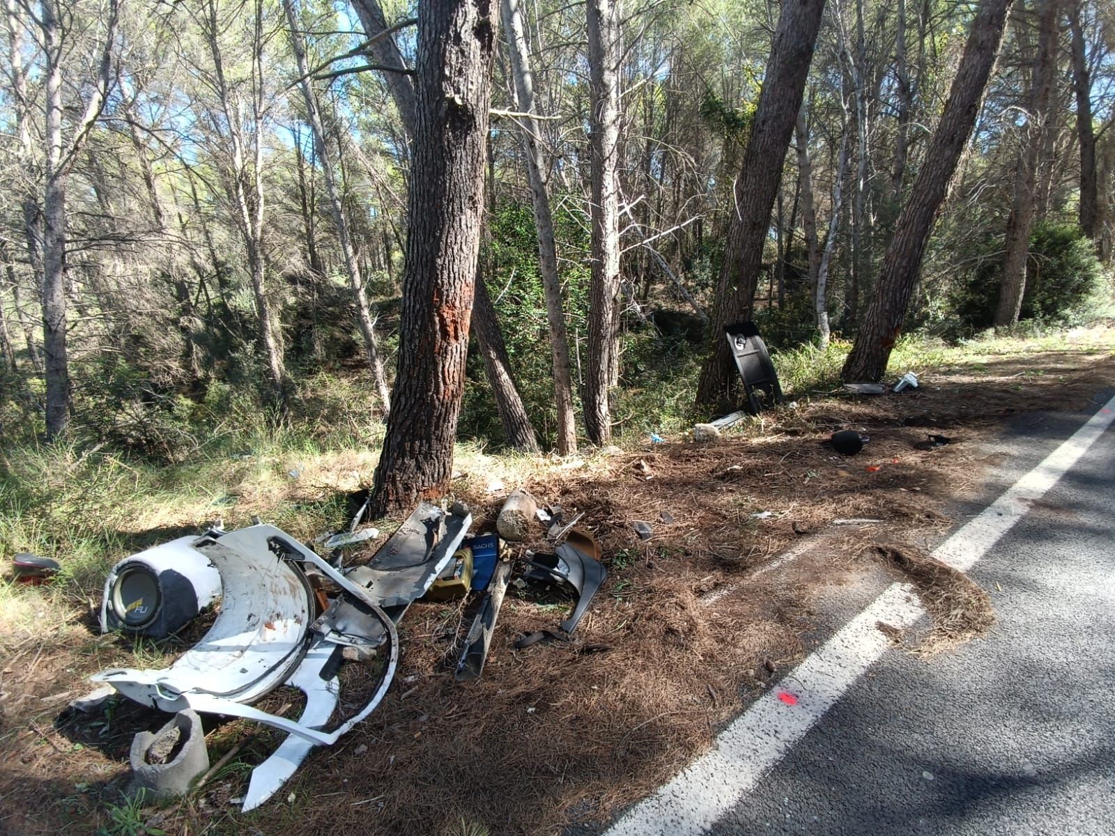 Dos jóvenes fallecen al chocar con su coche contra un árbol en la carretera de Puigpunyent