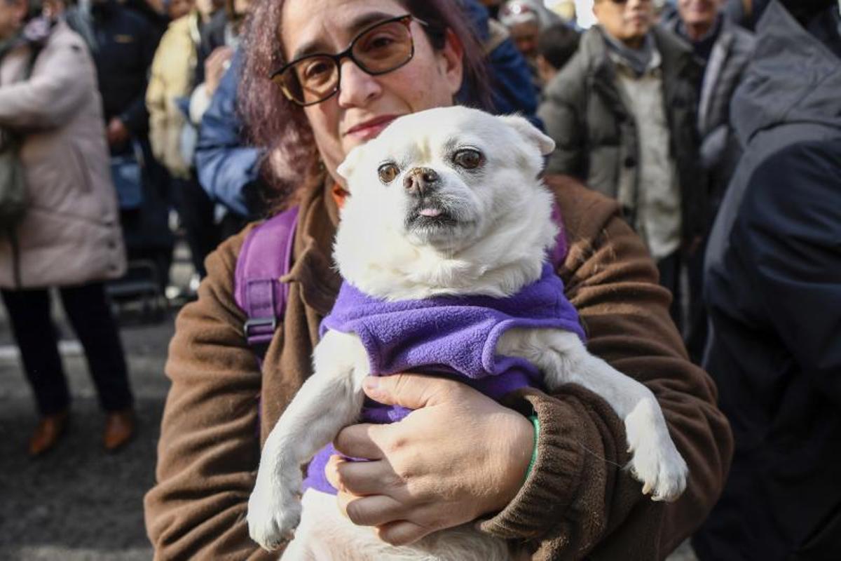 Bendición de animales en Els tres tombs