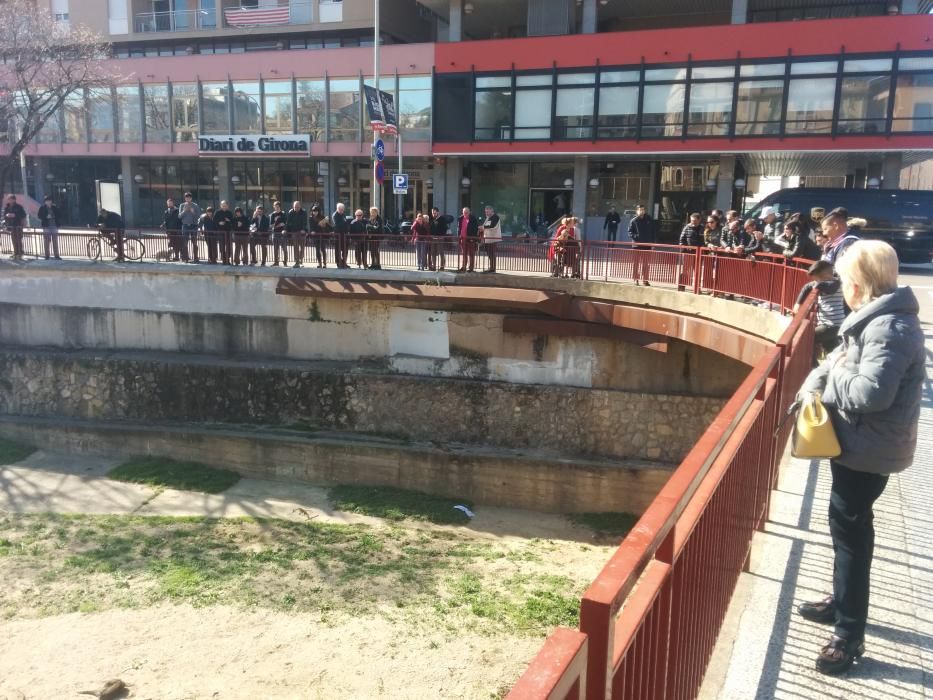 Una llúdriga a la Plaça Catalunya de Girona