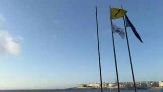 Aparecen carabelas portuguesas en las playas de Riazor y Orzán