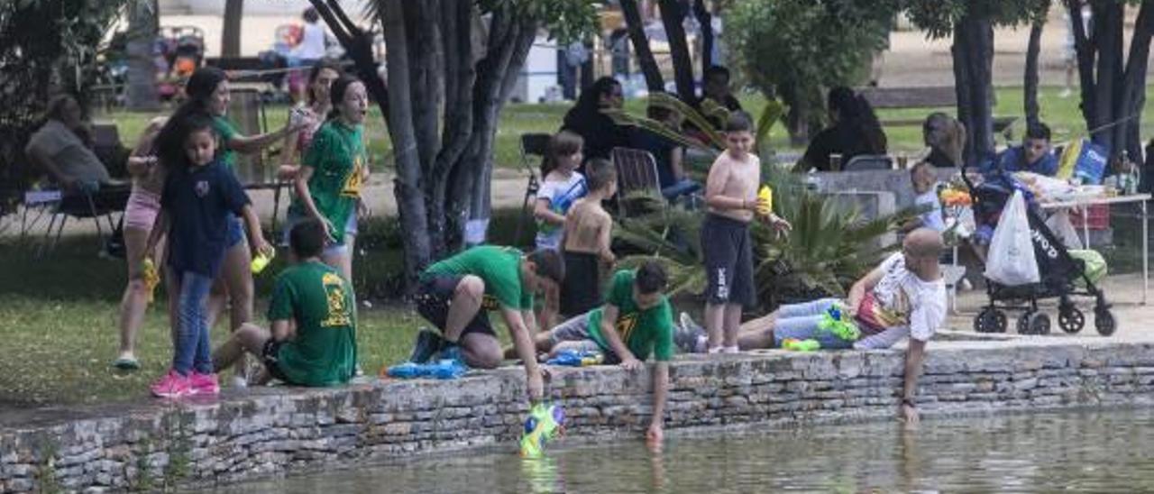 Participantes en el certamen de paellas de Hogueras sufren urticaria por la procesionaria