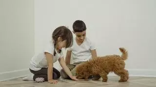 ¿Por qué es bueno que tu hijo crezca junto a una mascota?