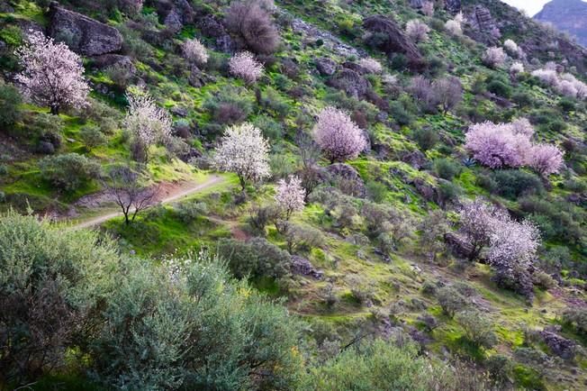 Gran Canaria, vista por Aíto García Reneses