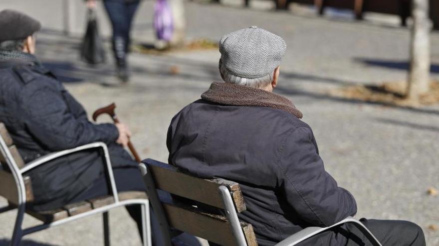 Identifiquen dues noves molècules marines amb potencial terapèutic contra l&#039;Alzheimer