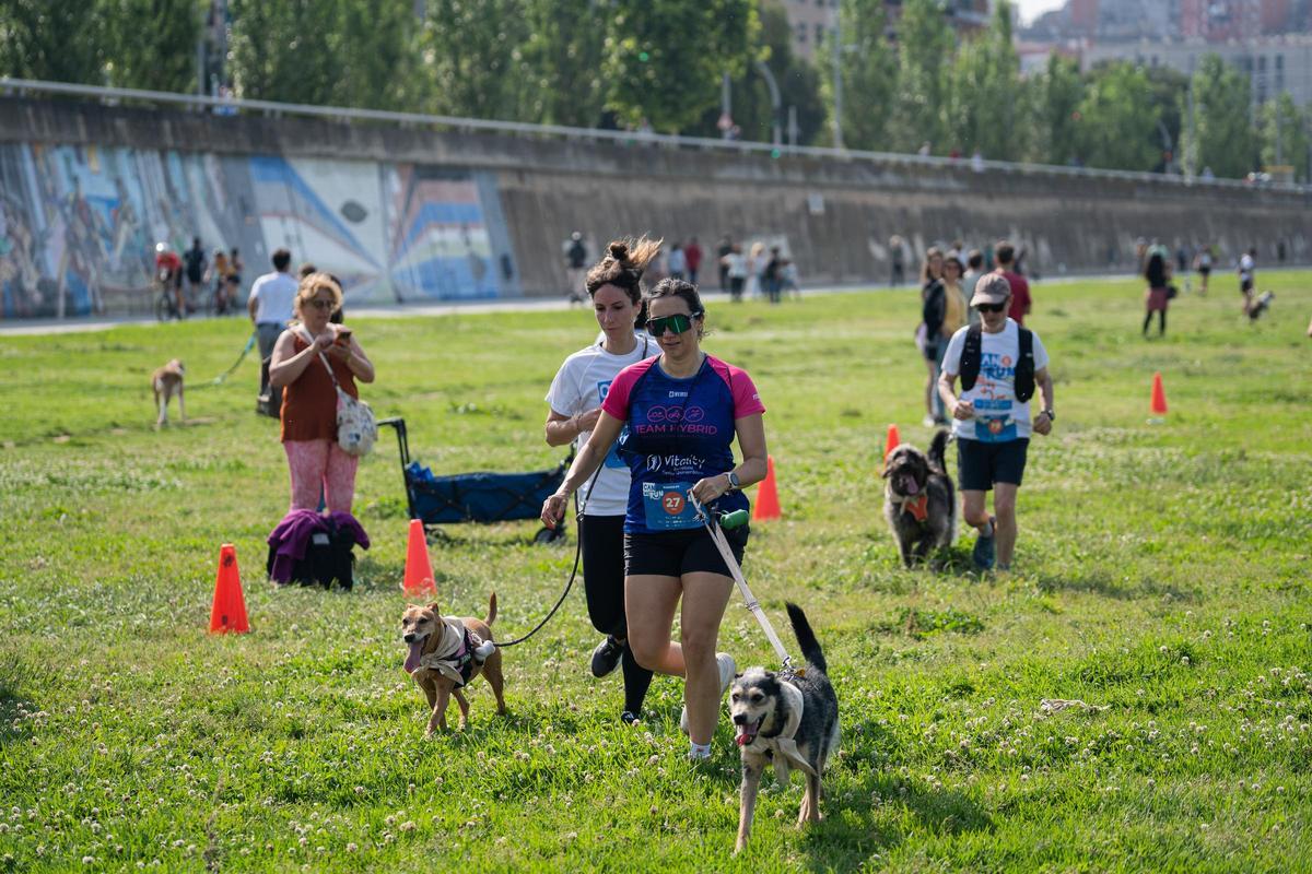 Carrera Can We Run 2025