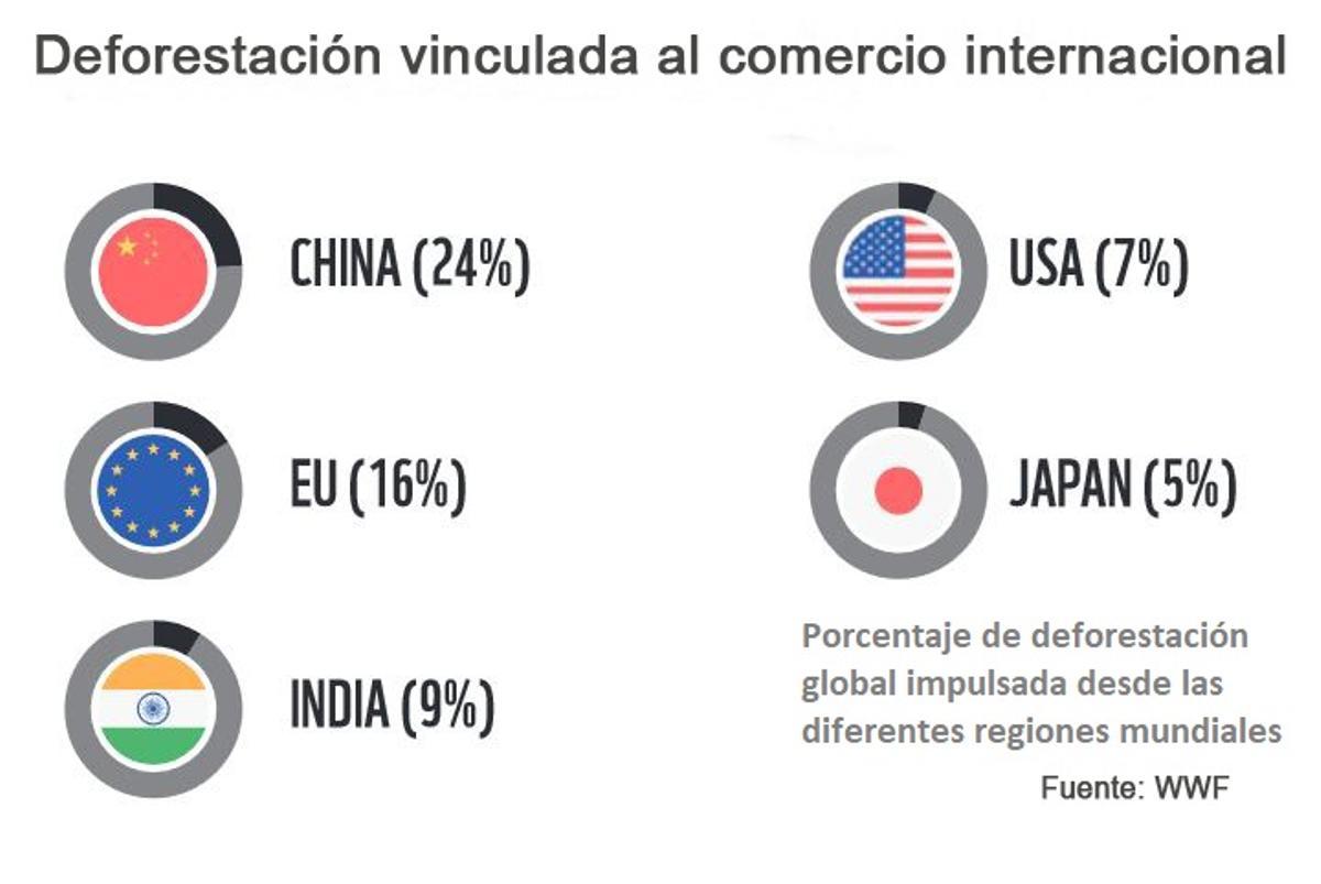 España provoca la deforestación de 32.900 hectáreas de selva cada año