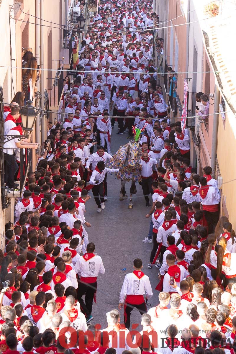 Caballos del Vino en la cuesta de la Simona