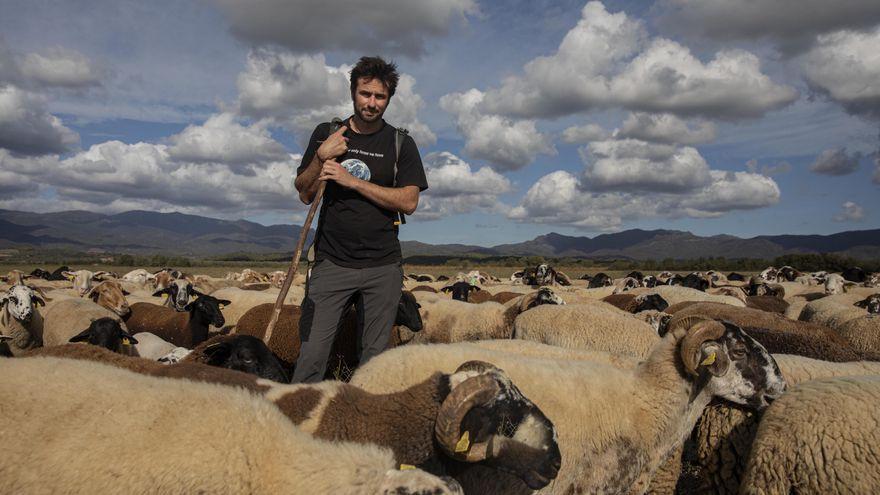 Victor Rojas pastura sus 400 obejas en Mollet de Peralada (Alt Empordà).