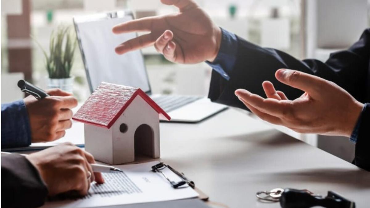 Api Herranz dispone de una completa variedad de servicios