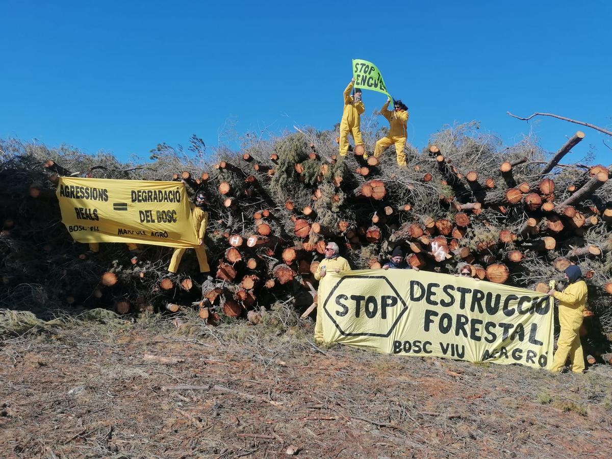 AE-Agró y vecinos ecologistas se manifiestan contra la tala de árboles en la sierra de Enguera.
