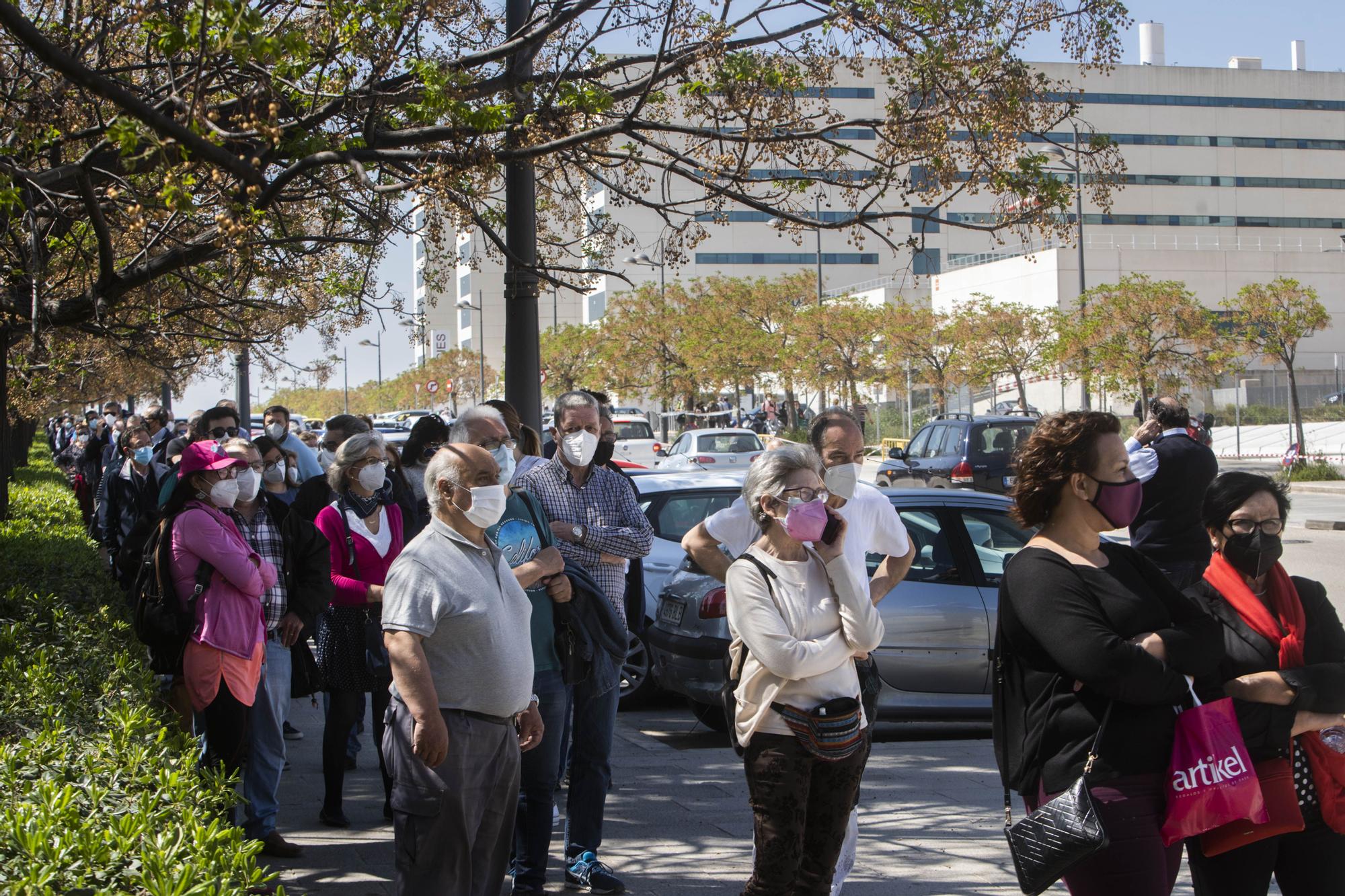 Largas colas al sol para vacunarse contra la COVID-19 en el hospital de campaña de La Fe