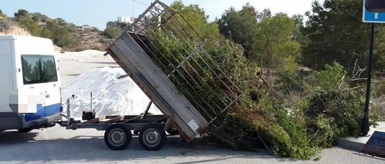 Pillados con las manos en la masa ?Estas imágenes muestran lo que ocurre casi a diario en Orihuela Costa. Son dos de los infractores sancionados por dejar las podas en la vía pública. En ambos casos son empresas de mantenimiento que, a pesar de cobrar a sus clientes el transporte y eliminación de los restos, los dejan abandonados cuando creen que no los ve nadie.