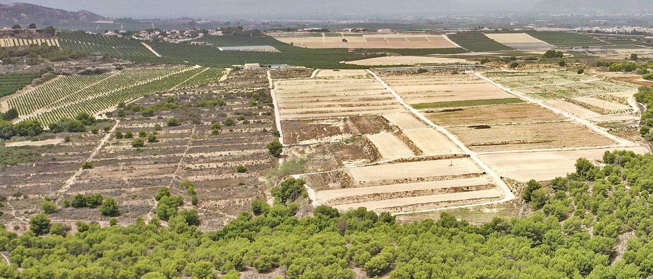 Terrenos a ocupar por la planta solar en la partida La Juliana, junto al paraje del Hoyo Serrano, en Almoradí.  |