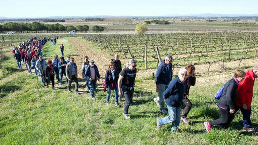 Unes 200 persones participen en una marxa entre vinyes per inaugurar el Vívid a Vilajuïga