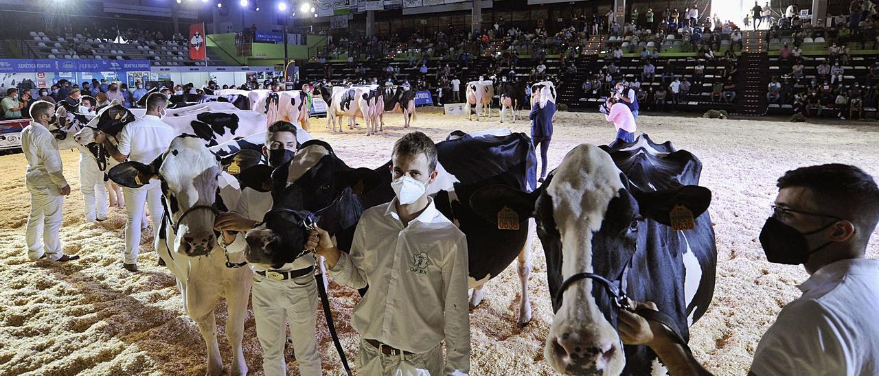 El Concello apostó por el multiusos para relanzar el certamen ganadero.   | // BERNABÉ/JAVIER LALÍN