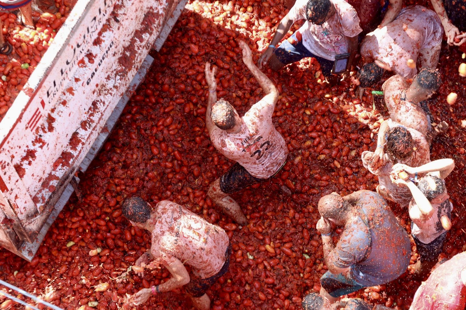 Fallas y Hogueras se empapan de Tomatina