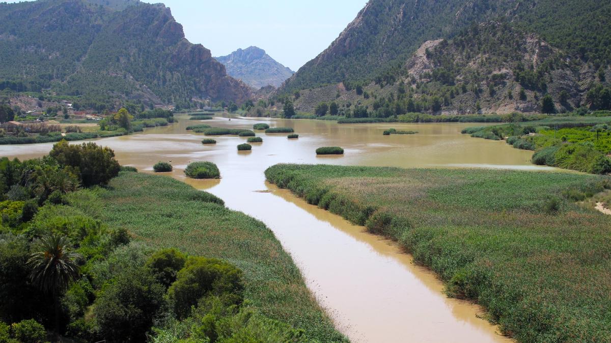 Los últimos análisis en el Azud de Ojós mostraron mejoras en su estado químico.