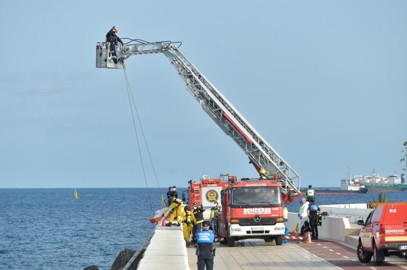 07-08-2019 LAS PALMAS DE GRAN CANARIA. Encontrado un cadáver en la escollera de la Avenida Marítima  | 07/08/2019 | Fotógrafo: Andrés Cruz