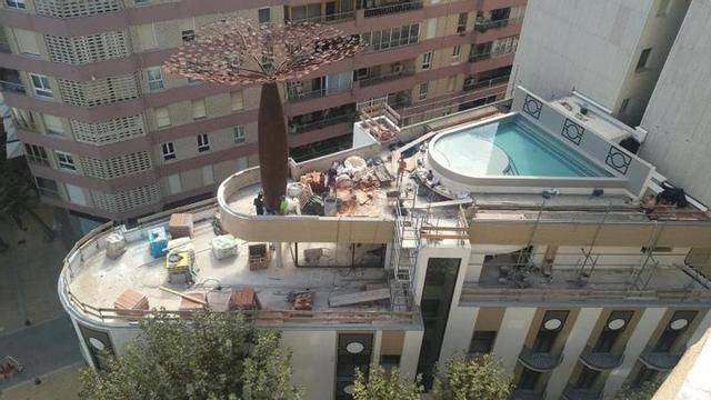 La azotea con piscina y una escultura de hierro que representa un baobad. | LEVANTE-EMBV