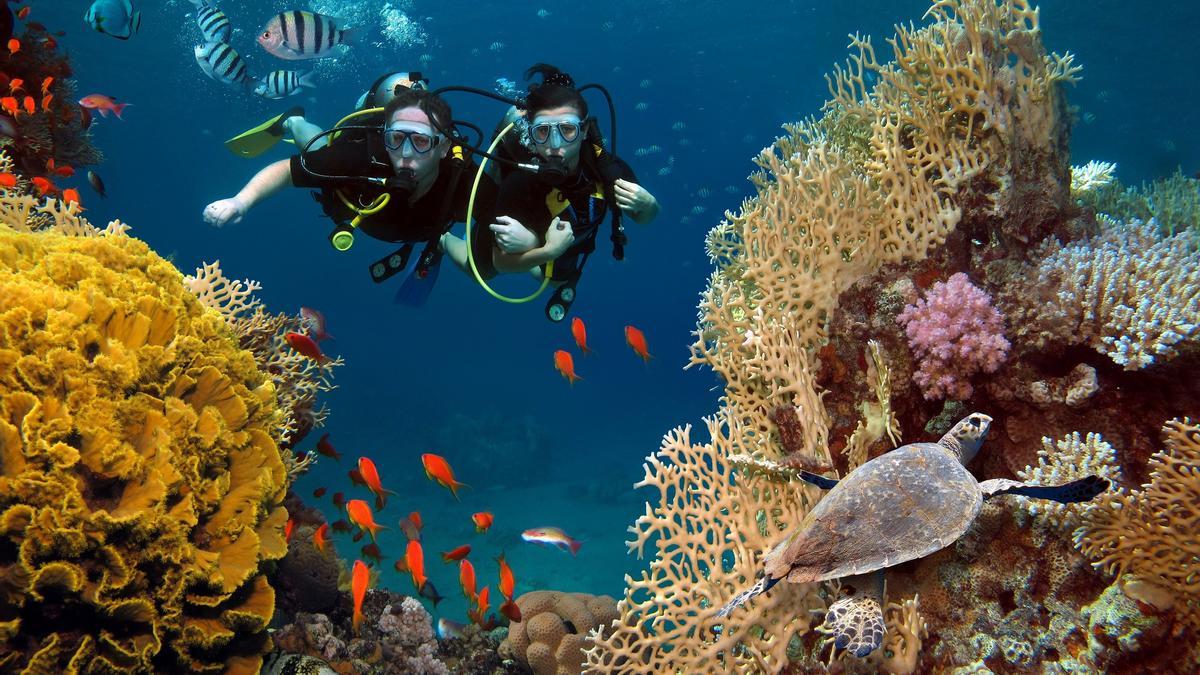 Dos submarinistas entre corales