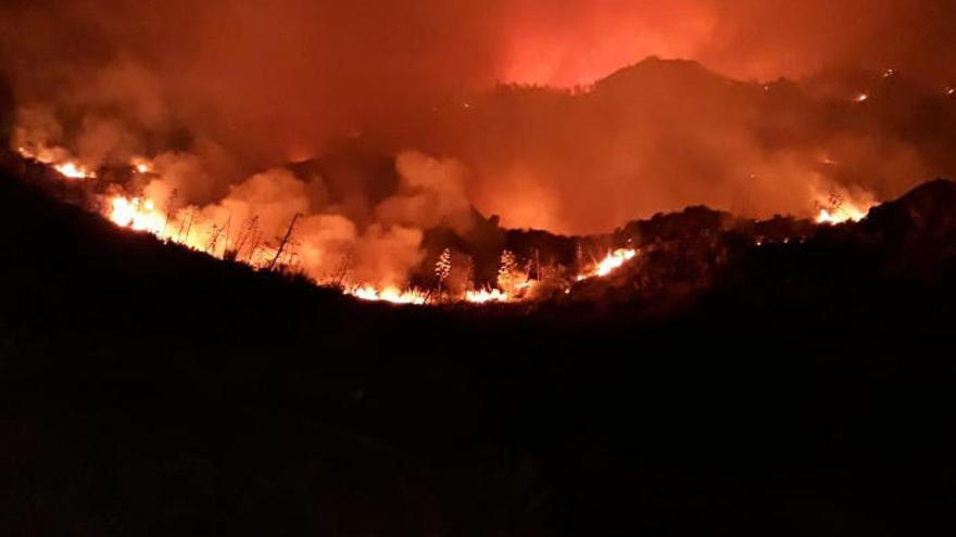 Incendio nivel 2 en Gran Canaria.