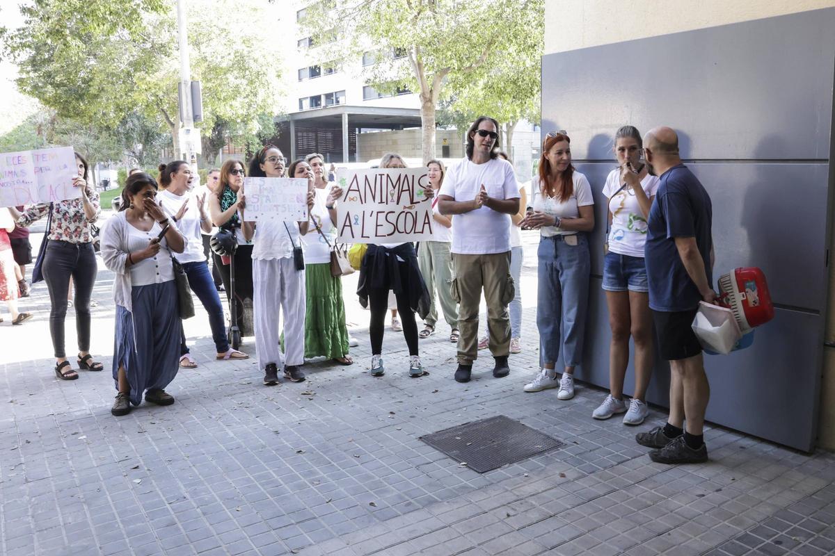 Revuelta en una escuela de Barcelona obligada a quedarse sin animales