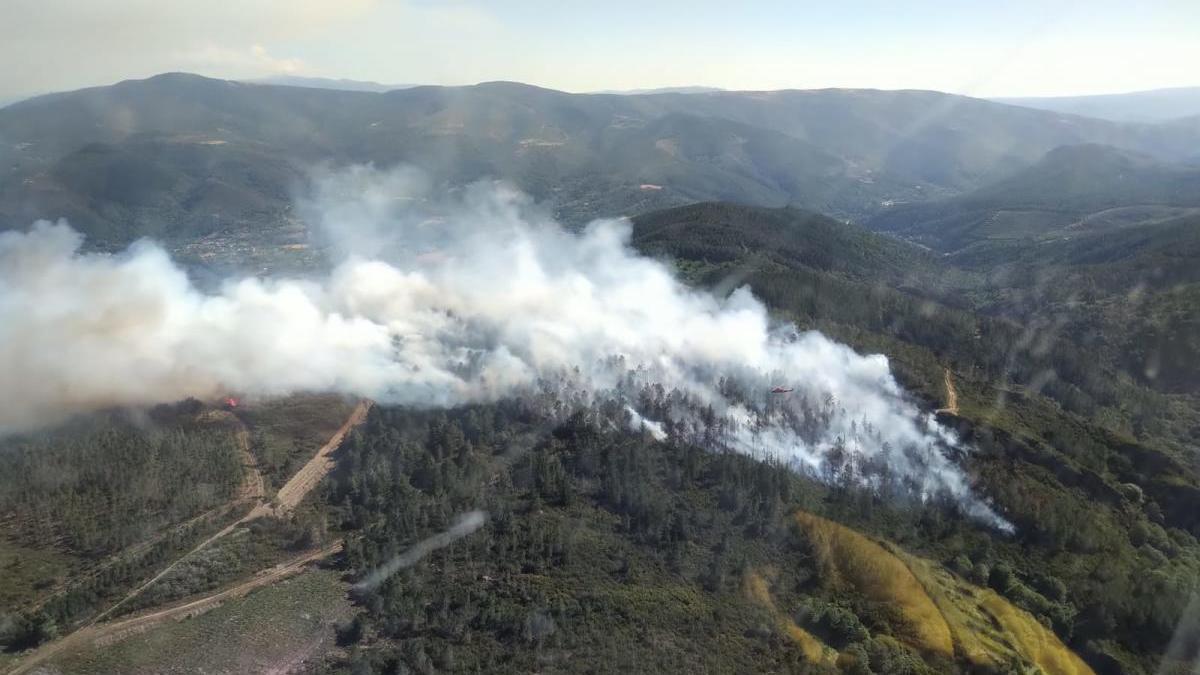Incendio de Quiroga desde el aire. // Twitter de la Asociación de Trabajadores de las Brigada de Refuerzo en Incendios Forestales (BRIF)