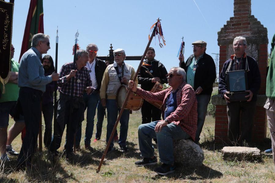 Romería de Valderrey en Zamora