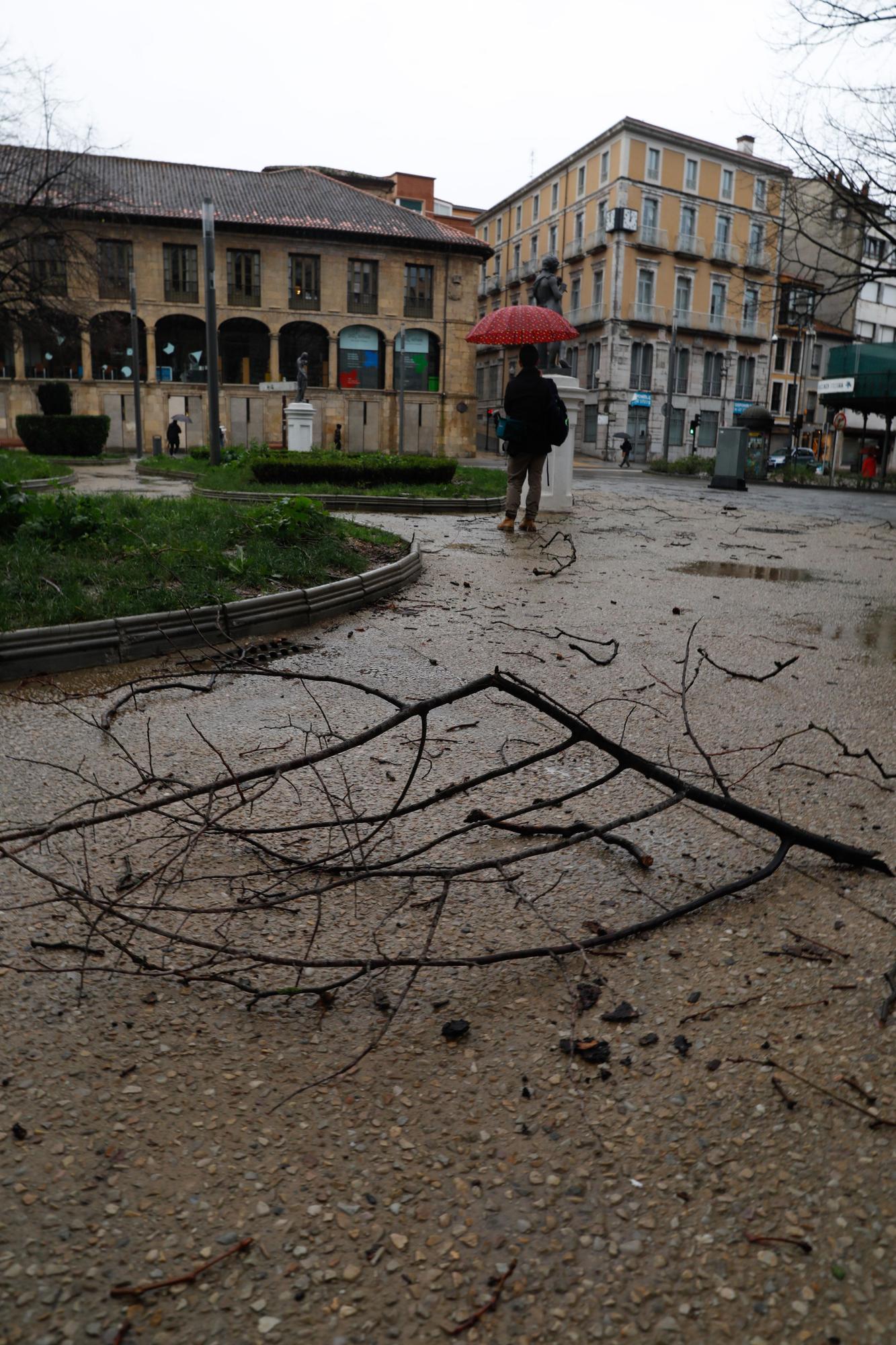 EN IMÁGENES: Así está siendo el temporal del lluvia, viento, oleaje y nieve que azota Asturias