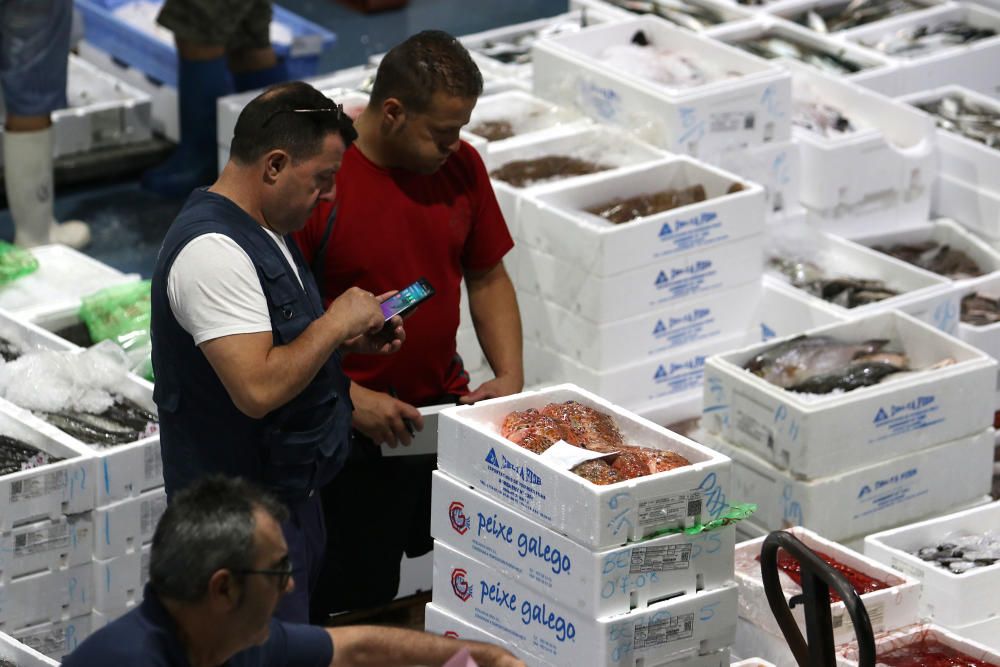 Así es un día de trabajo en la pescadería de Mercamálaga