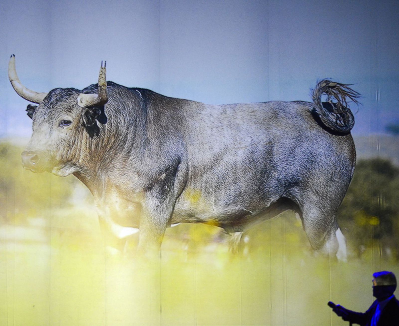 Una imagen de Galocho durante la gala de presentación del Toro Enmaromado 2025.