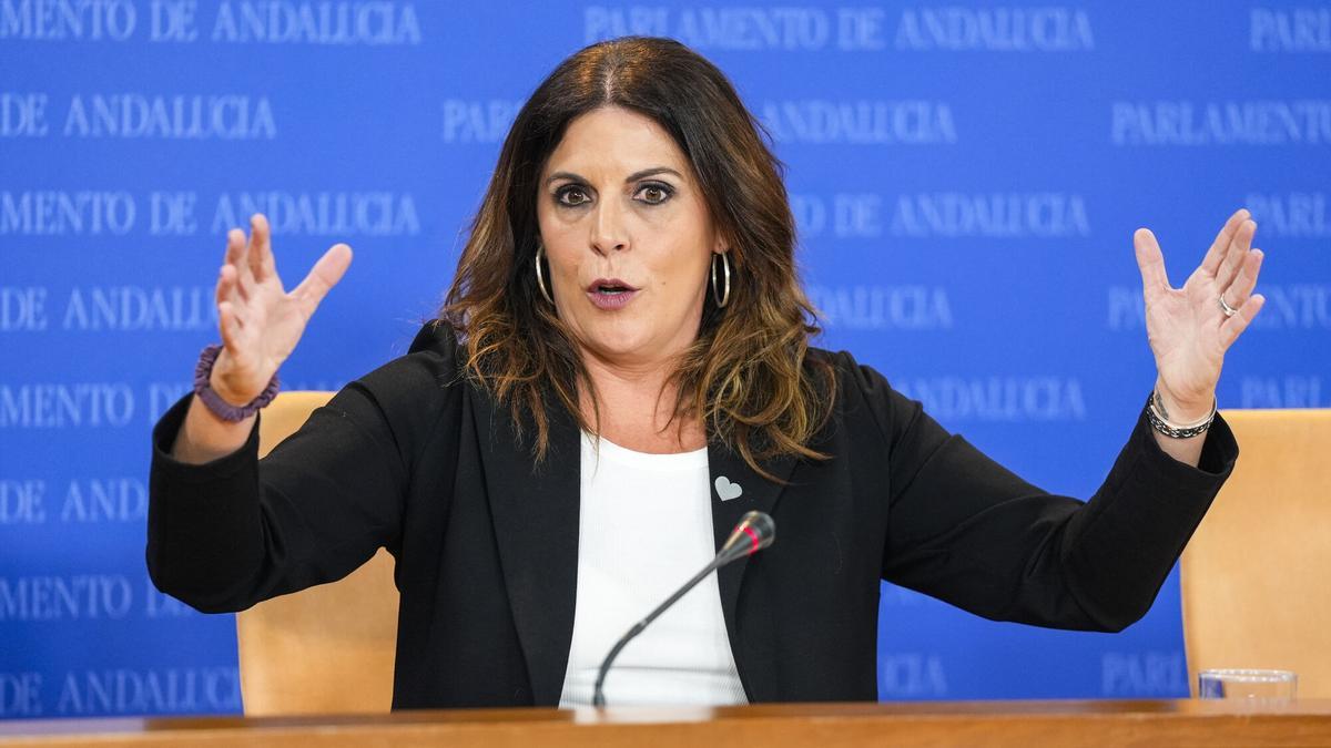 La portavoz adjunta del Grupo Parlamentario Socialista, Ángeles Férriz,