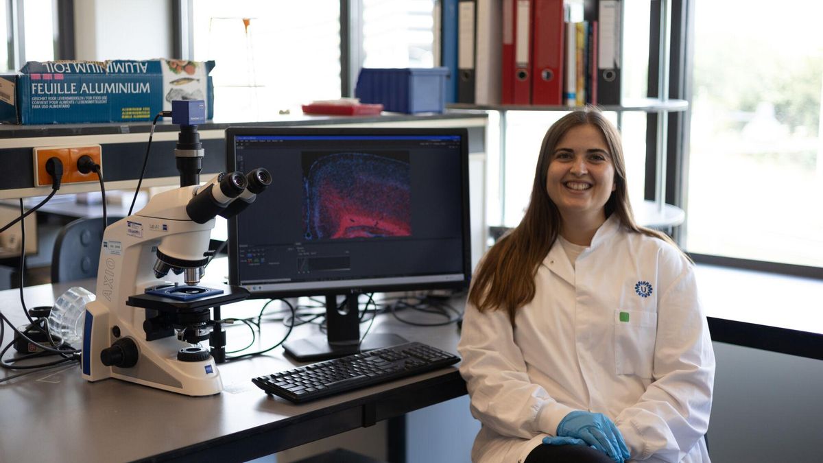 Judit Alhama mostra al laboratori de l’hospital universitari UMC Utrecht la imatge d'un cervell tenyit amb un marcador de mielina