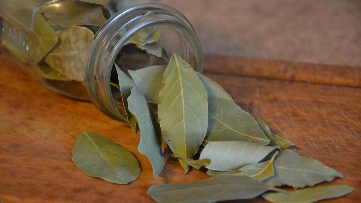 FREGONA Y CUBO | El secreto de limpieza que te sorprenderá: hojas de laurel en el cubo de fregar