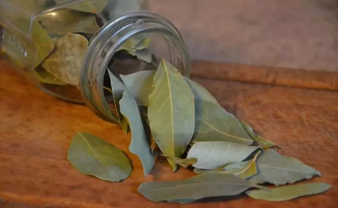 El truco para eliminar los malos olores de la cocina