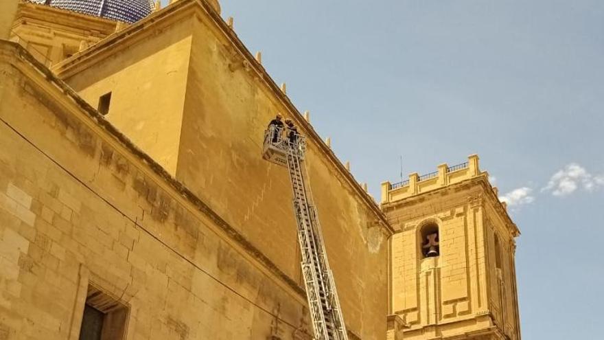 Expertos urgen restaurar la basílica tras resultar afectada leve una mujer por la caída de un cascote