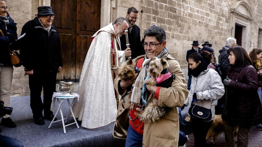 Sant Antoni: Segen für Hund, Katze und Schildkröte