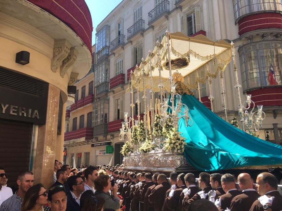 Domingo de Ramos | Dulce Nombre