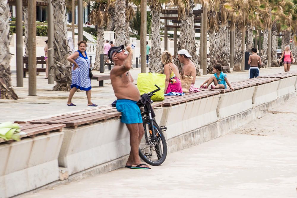 Las temperaturas llegaron a los 40 grados en Alica