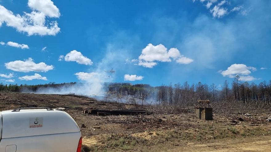 GALERÍA | Incendio en Otero de Bodas, en una zona quemada en la Sierra de la Culebra